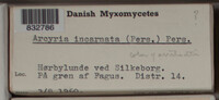 Image Associated With the Occurence